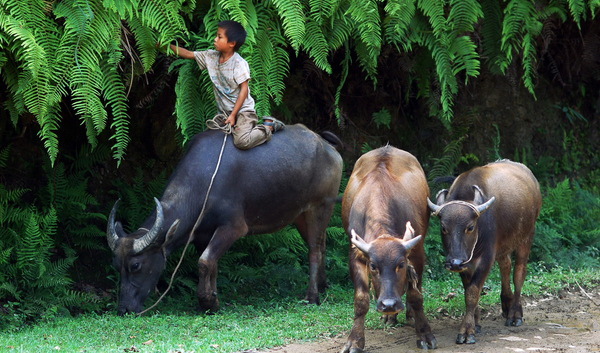 立志當立天下志，求名當求萬世名(圖1)