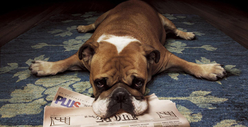 別讓懶惰性勤奮變成習(xí)慣生活(圖1) 別讓懶惰性勤奮變成習(xí)慣生活(圖1)