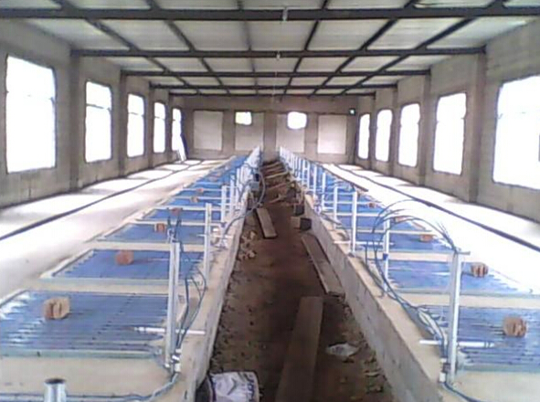 安邦集團(tuán)發(fā)熱電纜用于養(yǎng)殖場保溫室采暖安裝示意圖(圖1)